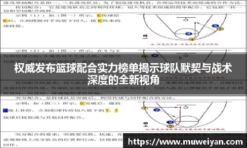 权威发布篮球配合实力榜单揭示球队默契与战术深度的全新视角