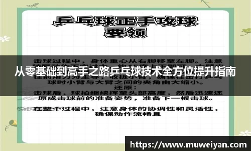 从零基础到高手之路乒乓球技术全方位提升指南