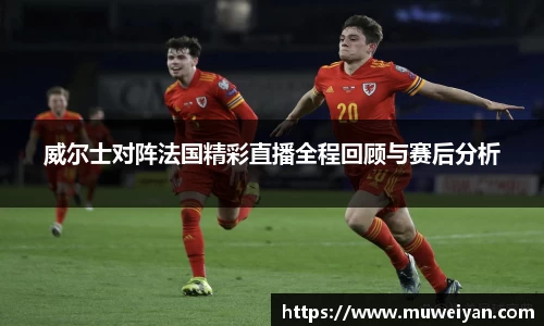 威尔士对阵法国精彩直播全程回顾与赛后分析